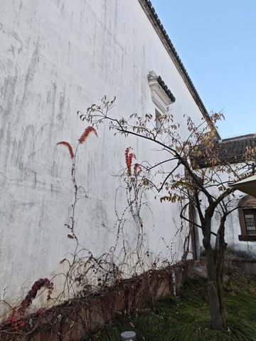 陰天也能出片！上海廣富林半日遊攻略