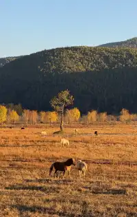 兩次瀘沽湖|寫給想慢下來的人。