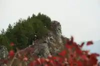 巫山龍脊看紅葉｜懶人零難度路線