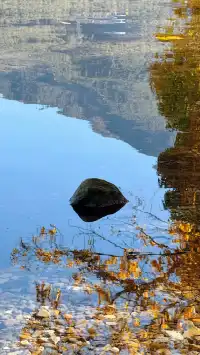 私藏！Live圖還原瀘沽湖冬日浪漫，金黃樹