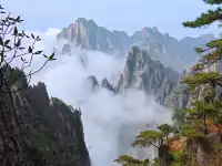 蕪湖黃山四日遊