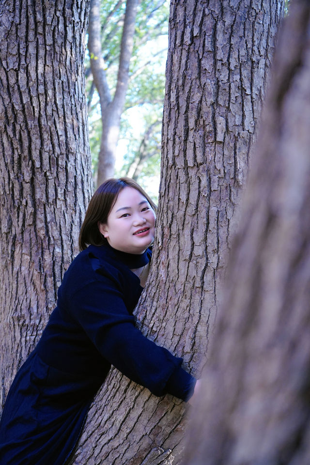 上海|秋冬這裡簡直太美了吧! 上海|秋冬這裡簡直太美了吧!