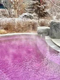 清河半島12月室外還在開放的項目...