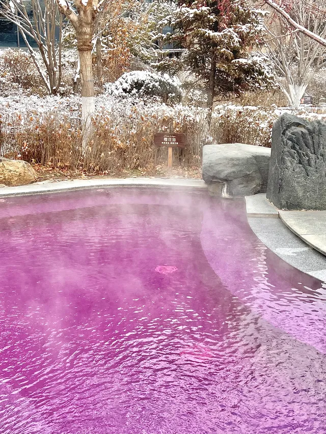 清河半島12月室外還在開放的項目... 清河半島12月室外還在開放的項目...