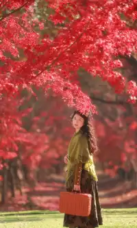 你在人潮擁擠的西湖邊,我在花開海上紅楓自由自在