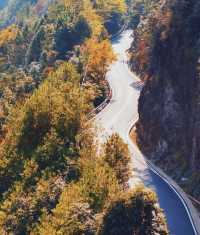 武義牛頭山｜現實版仙俠祕境美到失語