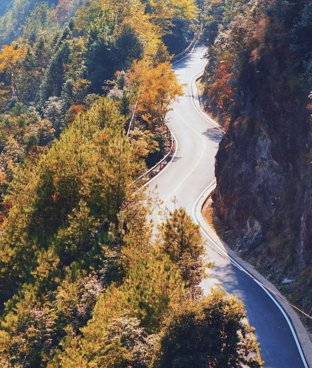 武義牛頭山｜現實版仙俠祕境美到失語