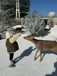 小來黃島嘉年華海信廣場啦~