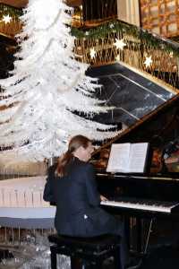 寶麗嘉點亮白冠聖誕樹