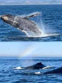 絕了!崇左+涠洲島6天5晚親子遊攻略,娃玩到不想回家!