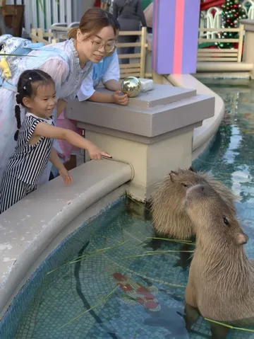 泰蘭德chocolate villa 太好拍