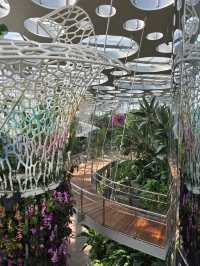 Нет, это не Сингапур! Шанхай сделал лучше!