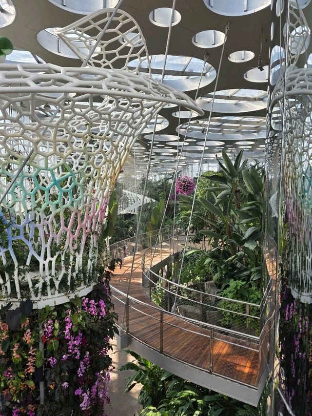 Нет, это не Сингапур! Шанхай сделал лучше! Нет, это не Сингапур! Шанхай сделал лучше!