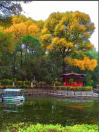 藏在城市裡的詩意秘境 —— 麒麟灣公園