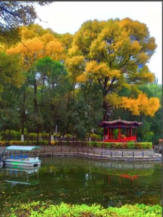 藏在城市裡的詩意秘境 —— 麒麟灣公園 藏在城市裡的詩意秘境 —— 麒麟灣公園