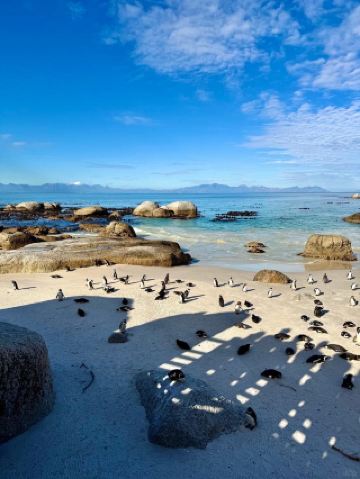 [South Africa New Year Travel Guide]