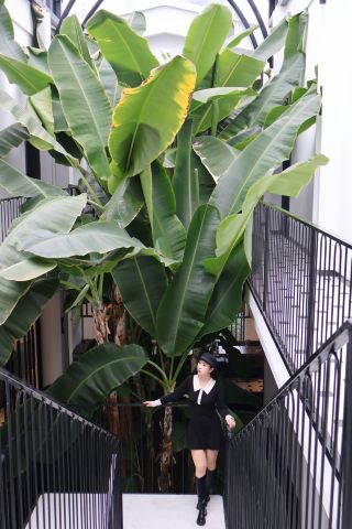 I fell in love with Chengdu's "Little Chiang Mai" at first sight at the private tea house.