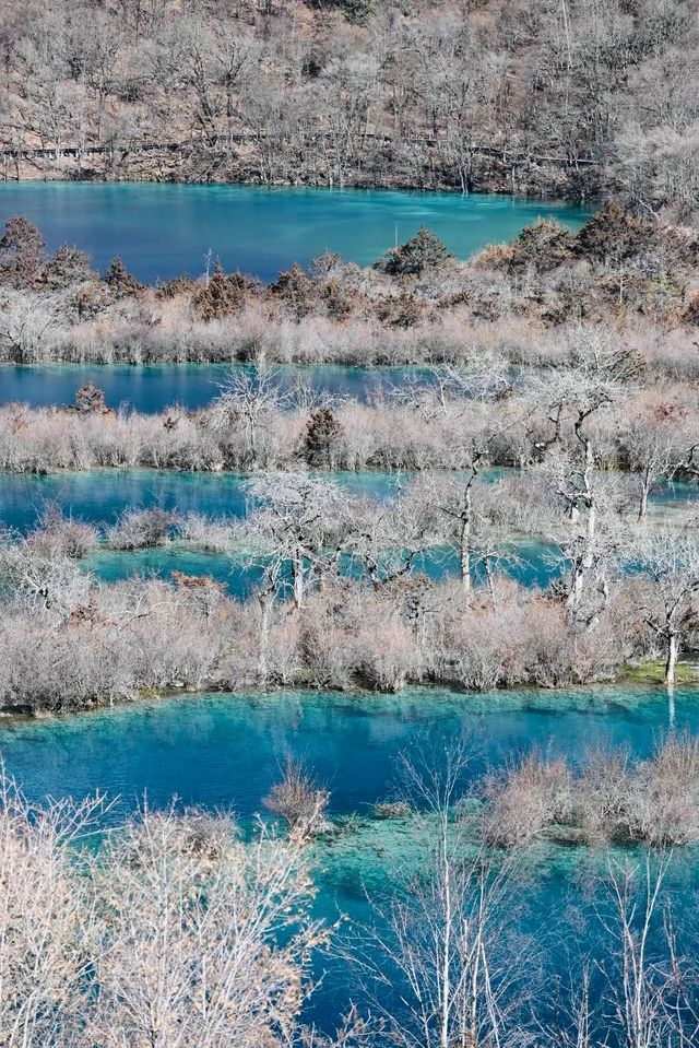春節去九寨溝，千萬要聽勸