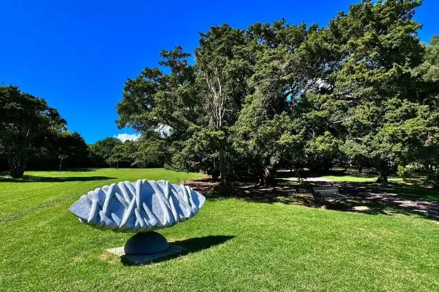 The Scenery of Auckland Domain