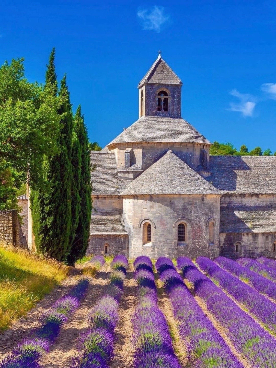 Don't just visit the Old Town! One-day itinerary around Avignon suburbs