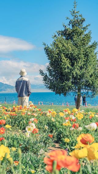 Pertemuan Menakjubkan Antara Mercusuar dan Pegunungan Bersalju: Lokasi Kamera Tersembunyi di Danau Sayram