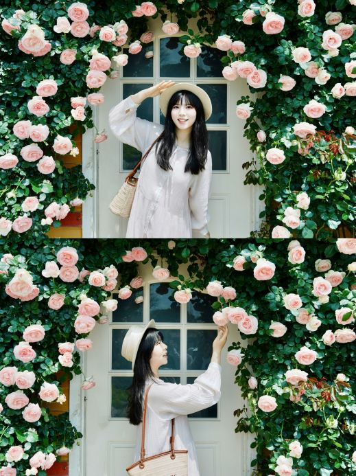 Chengdu's garden blooming with roses! It's truly a perfect photo