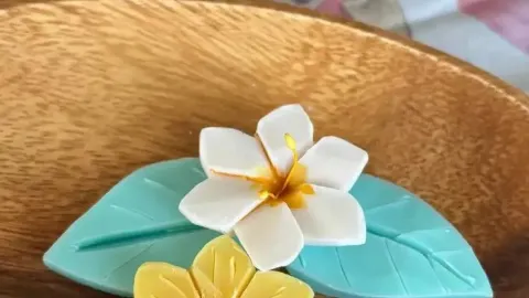 Osaka Sakuya Konohana-kan Tropical Fruit Exhibition 2026 — traveler post in Moriguchi