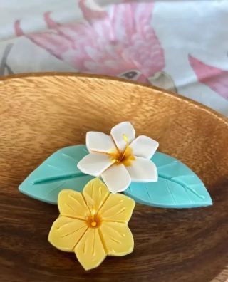2026年大阪咲くやこの花館熱帶水果展