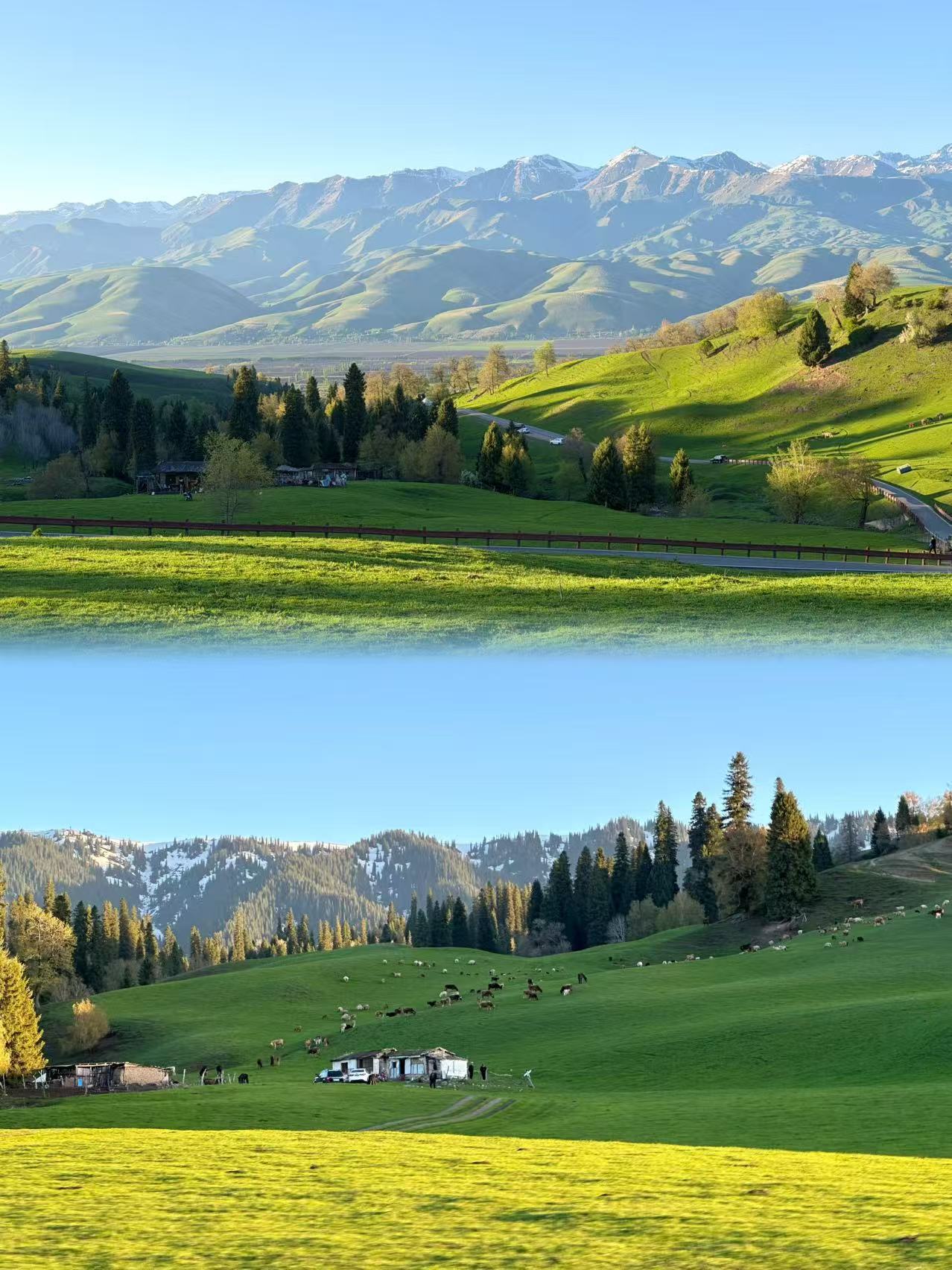 Ili Panoramic In-Depth 12-Day Grand Loop Tour