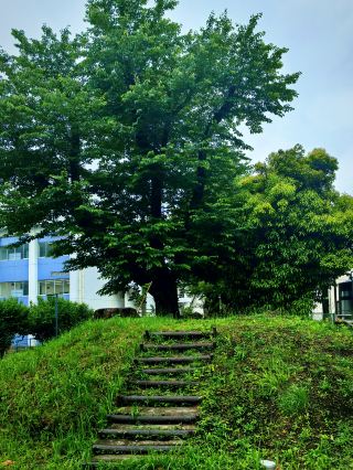 雨に濡れる北里大学：生命科学の最高殿堂で、ノーベル賞の巨匠たちの百年の響きを聴く