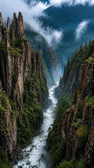 ภูเขาฉางไป่ | ราชาแห่งสถานที่พักผ่อนในฤดูร้อนทางตะวันออกเฉียงเหนือของจีน! บาร์ออกซิเจนในป่าที่มีอุณหภูมิเฉลี่ย 22 องศาเซลเซียส