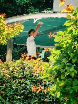 風は夏の日のフィルムに止まる