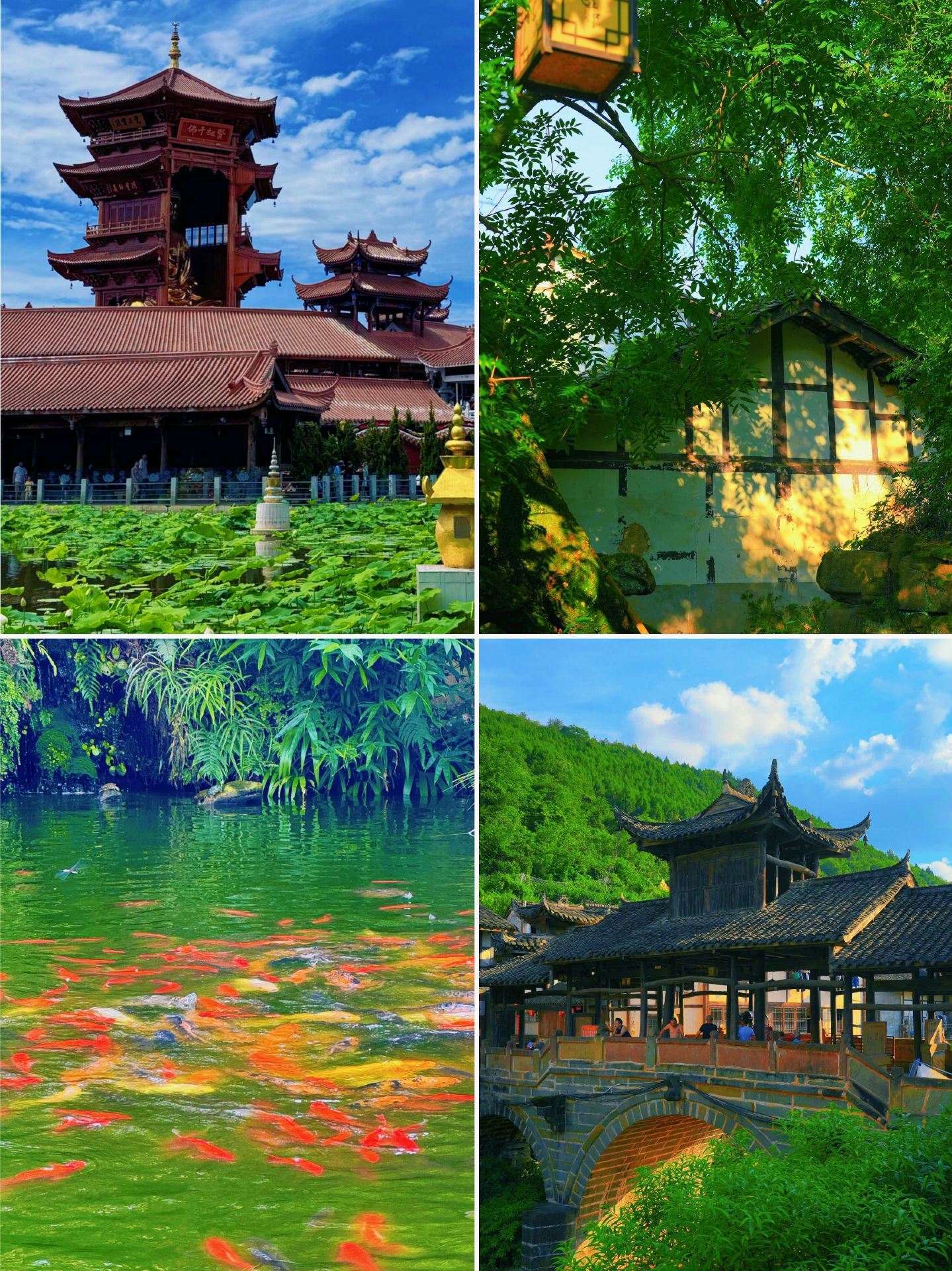 Tôi từ bỏ ý định đến Miên Dương rồi, nơi này quá tuyệt vời.