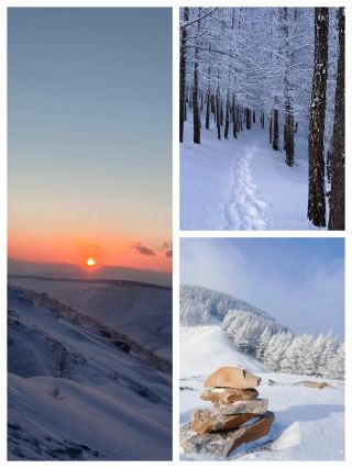 蔚縣風雪麻田嶺!凍成狗也值得的雪原仙境 誰懂啊大家!衝去蔚縣麻田嶺看雪,直接被這北國雪原美