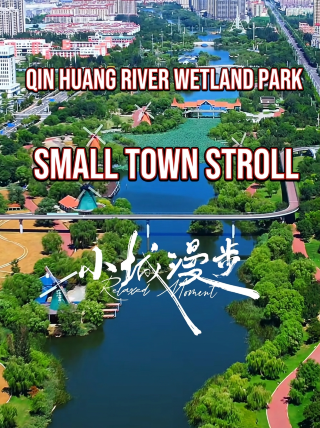 濱州秦皇河濕地公園｜免費城市濕地慢遊好去處