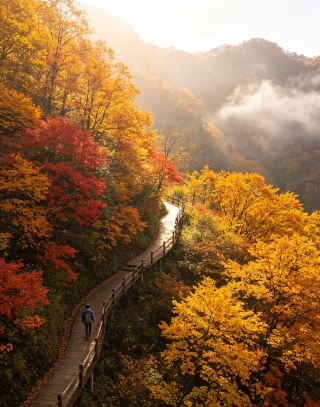 光霧山の紅葉を訪ね、千年の蜀道の風情を堪能する旅
