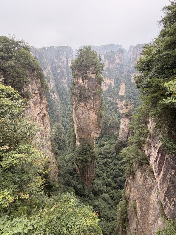 Our trip to Western Hunan has come to a successful end. We are