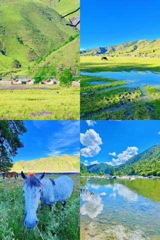You get it! Xinduqiao in Western Sichuan is a real-life oil painting world