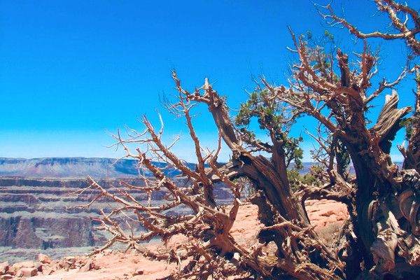 【2本セット】グランドキャニオン　grand canyon お香立て グランドキャニオンに教えられた、自分と向き合う旅。 | Trip.com