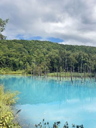 The ultimate 6-day Japan travel guide, save this now!