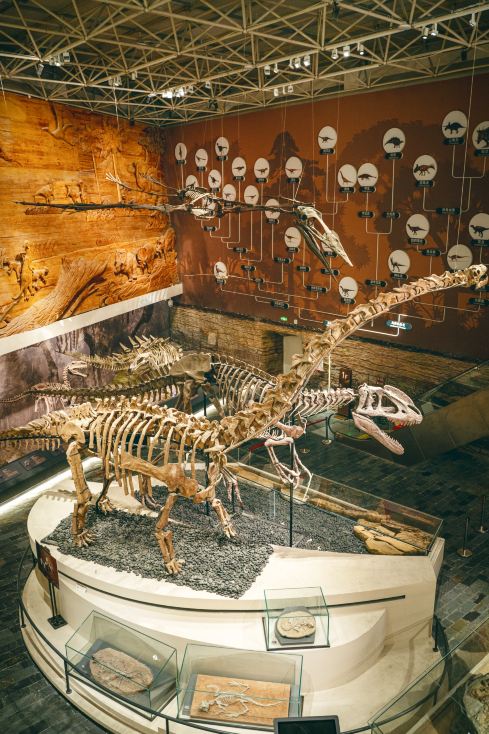 Beautiful Chaoyang || A "billion-fold" awe from the Bird Fossil Geopark