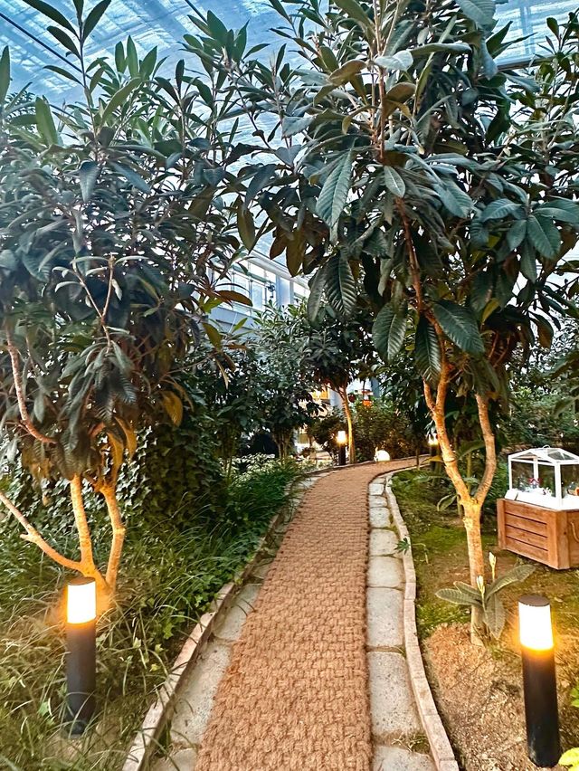 광주,전주 근교 전북 고창 온실카페 🍀