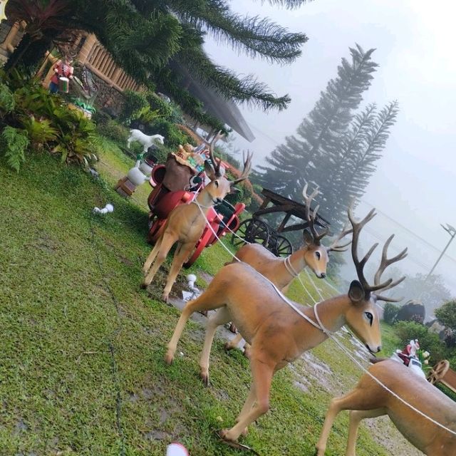 its more fun in CAMPUESTUHAN HIGHLAND RESORT (PHILIPPINES )