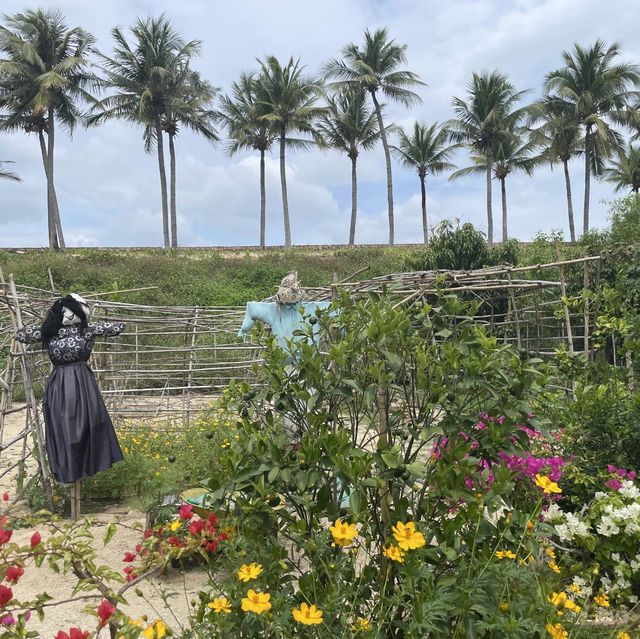 퓨전의 볼거리:: Fusion Farm🐐