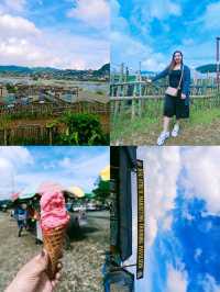 Starwberry Farm