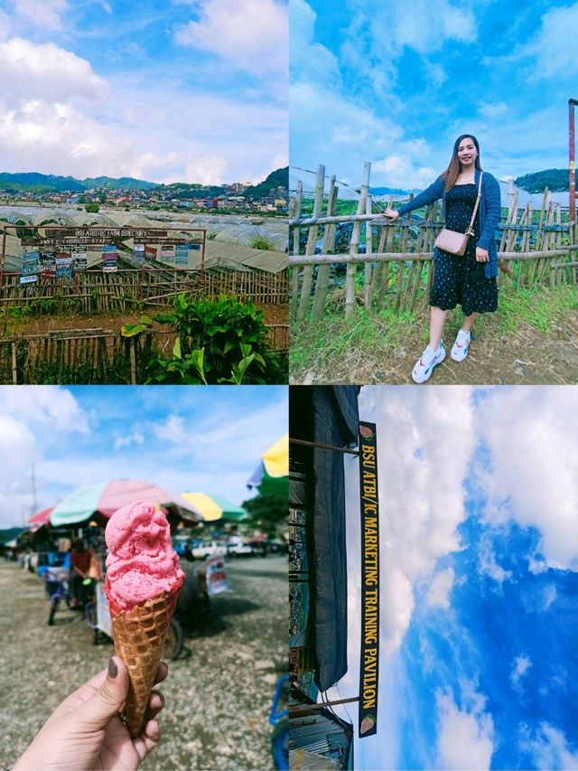 Starwberry Farm