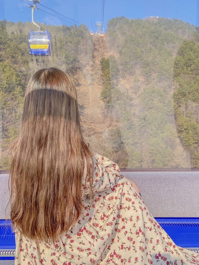 바다가 보이는, 사천 바다케이블카🌊