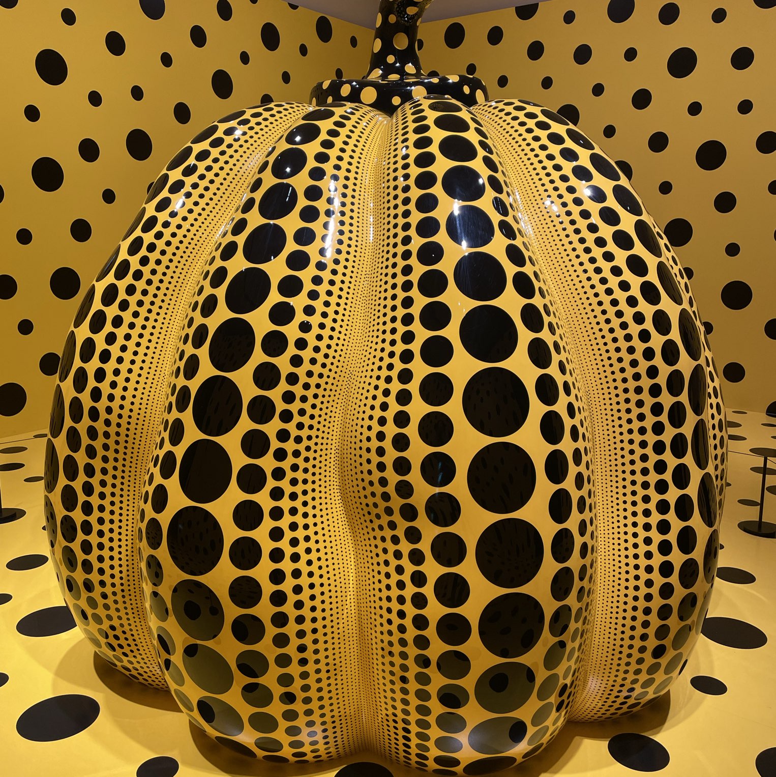 1mi1u2215evfvrilc3376.jpg?proc