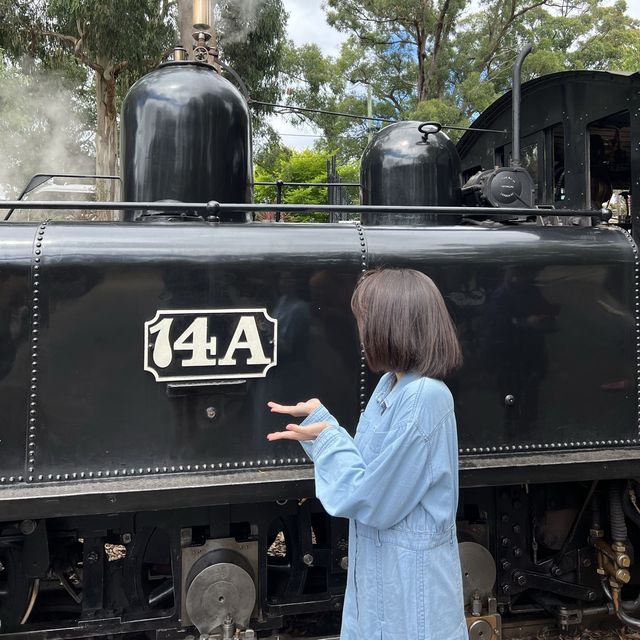 100년된 증기기관차 타러 퍼핑빌리 마을로 오세요🚂
