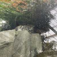 関西でおすすめの体験型動物園🐇🐅🐈🐕🦆